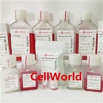 CellWorld 牛血清白蛋白溶液标准细胞培养级