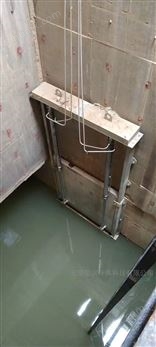 浮筒无动力限流器管中型防倒灌器设备