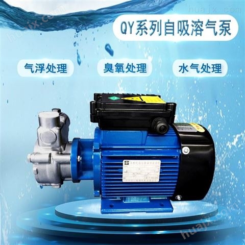 QY单相不锈钢离心泵移送发泡性液体溶气泵