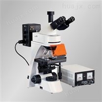 荧光显微镜TL3001